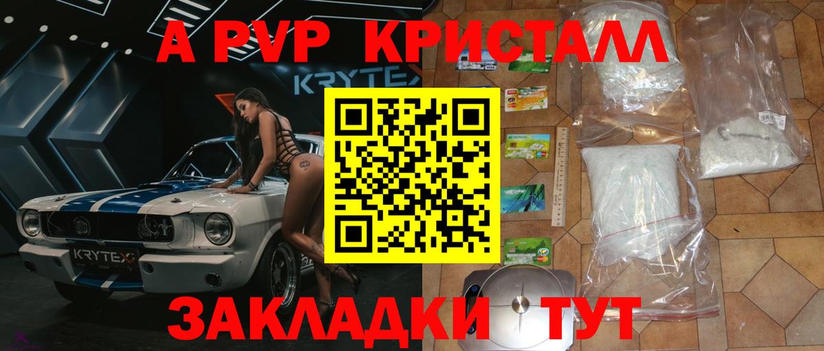 Альфа ПВП СК Мурманск
