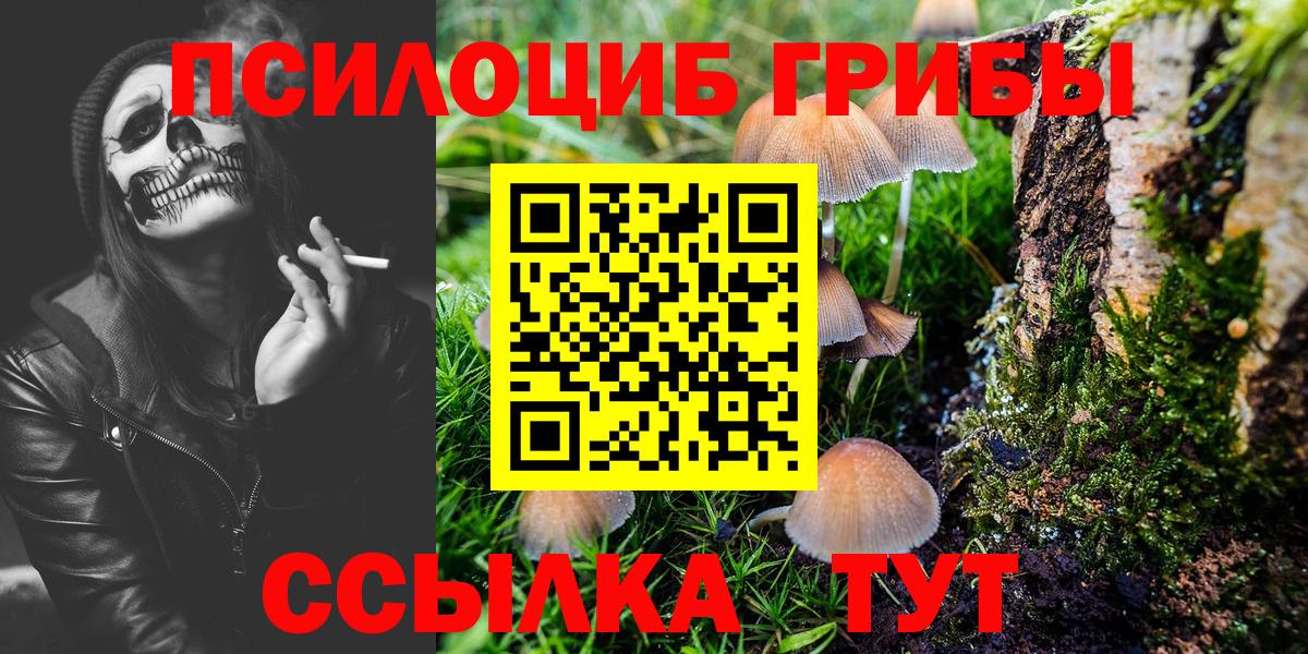 Галлюциногенные грибы Cubensis Мурманск